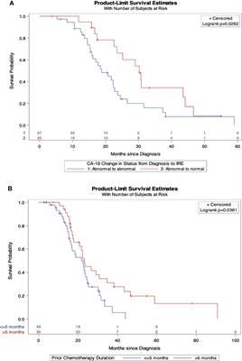 Optimizing Patient Selection for Irreversible Electroporation of Locally Advanced Pancreatic Cancer: Analyses of Survival